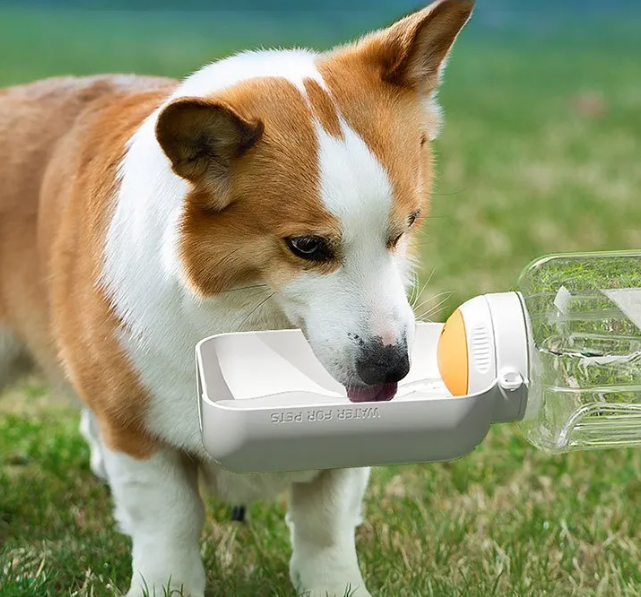 Dog travel water bottle with attached food bowl, blue, showing bpa-free plastic