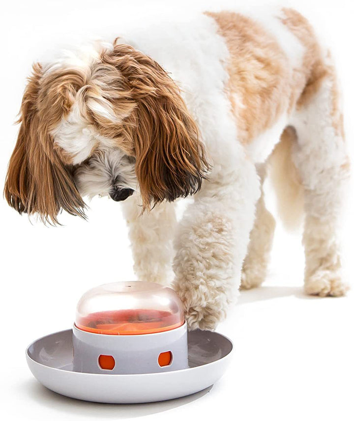 Dog UFO slow feeder puzzle toy, blue and yellow, promoting healthy eating and mental stimulation