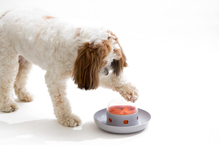 Interactive dog feeder shaped like a UFO, designed as a slow feeding puzzle for pet enrichment
