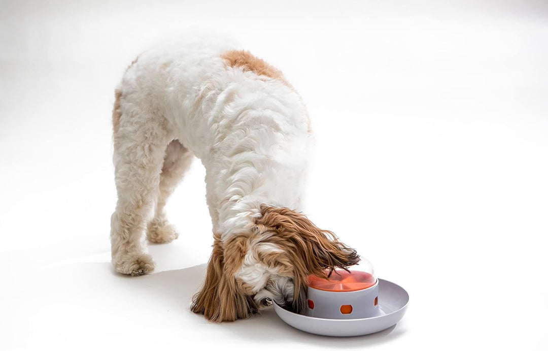 Blue and yellow UFO slow feeder, an engaging puzzle toy for dogs to prevent fast eating