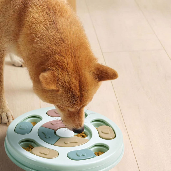 Dog using an interactive puzzle slow feeder for mental stimulation and slow eating.