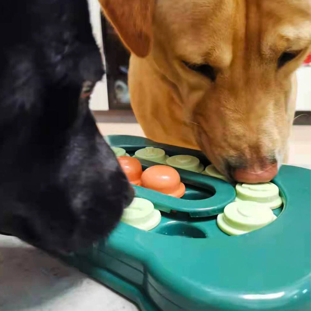 Dog health product: a new interactive foraging tray for anxiety relief and mental engagement.