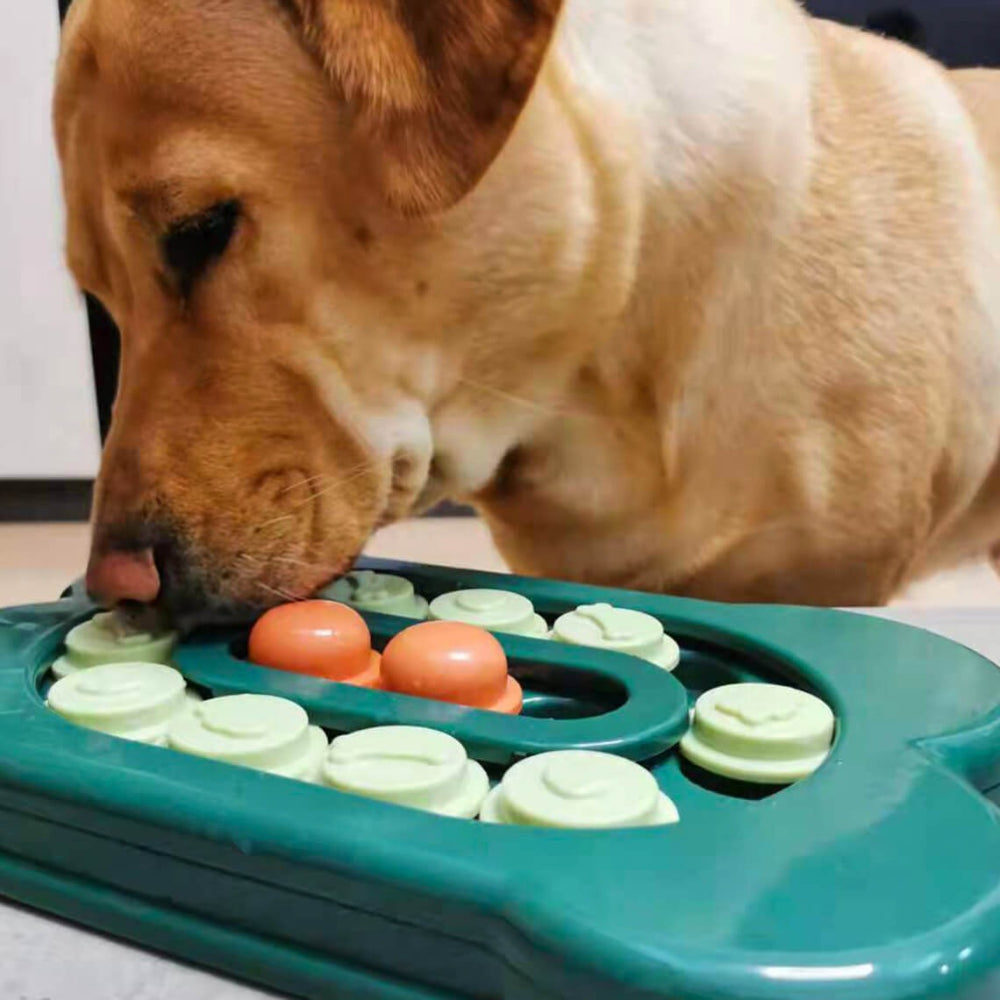 Unisex dog enrichment toy: a sliding puzzle for slow feeding and mental stimulation.