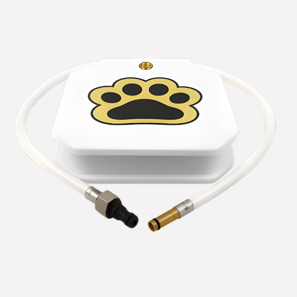 Dog using Noko Pets foot-activated outdoor hydration station, playing in water for cooling and interactive fun