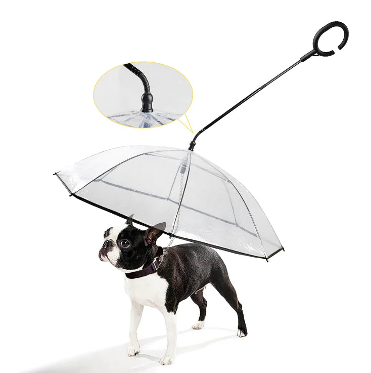 Transparent pet umbrella with ergonomic handle and leash attachment for comfortable dog walking in wet weather