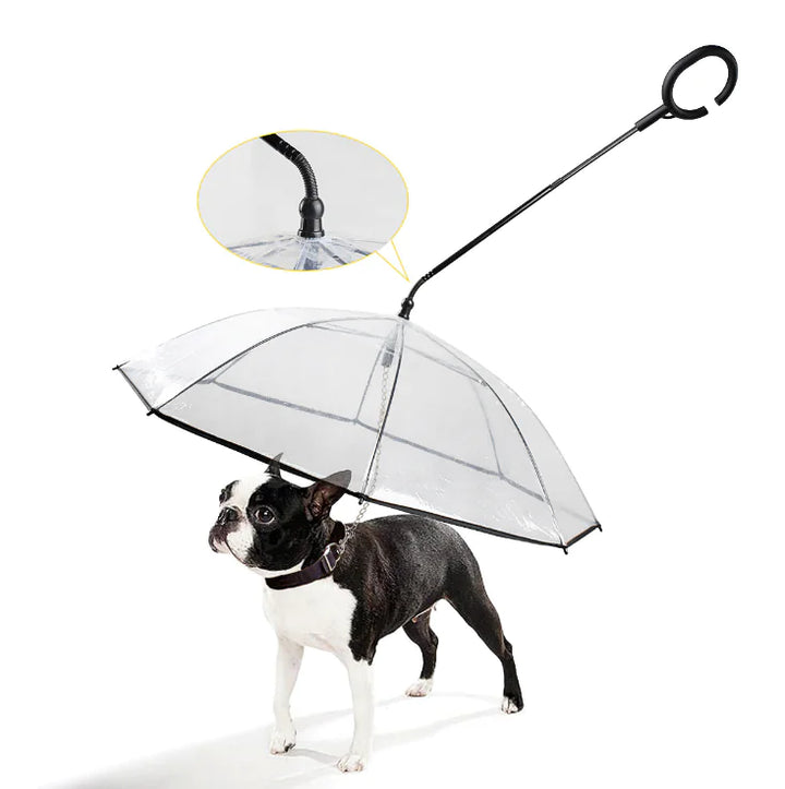 Transparent pet umbrella with ergonomic handle and leash attachment for comfortable dog walking in wet weather