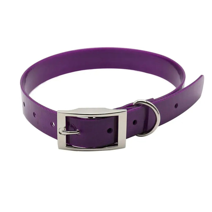 Easy clean waterproof dog collar, grey, with safety breakaway feature, essential pet gear