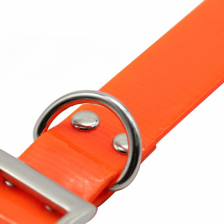 Blue waterproof dog collar for outdoor adventures, featuring a secure breakaway buckle