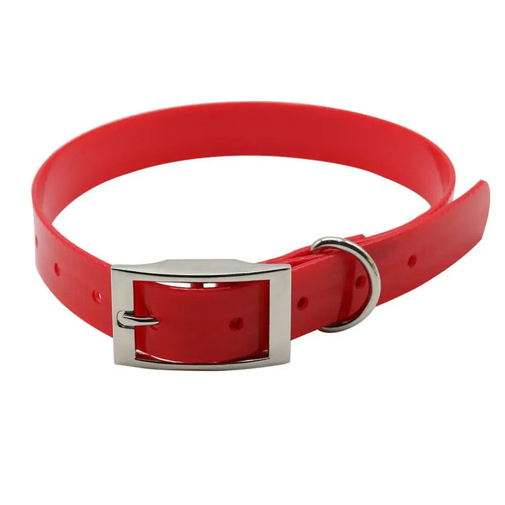Dog supplies: Green waterproof collar with breakaway safety clip, easy to clean