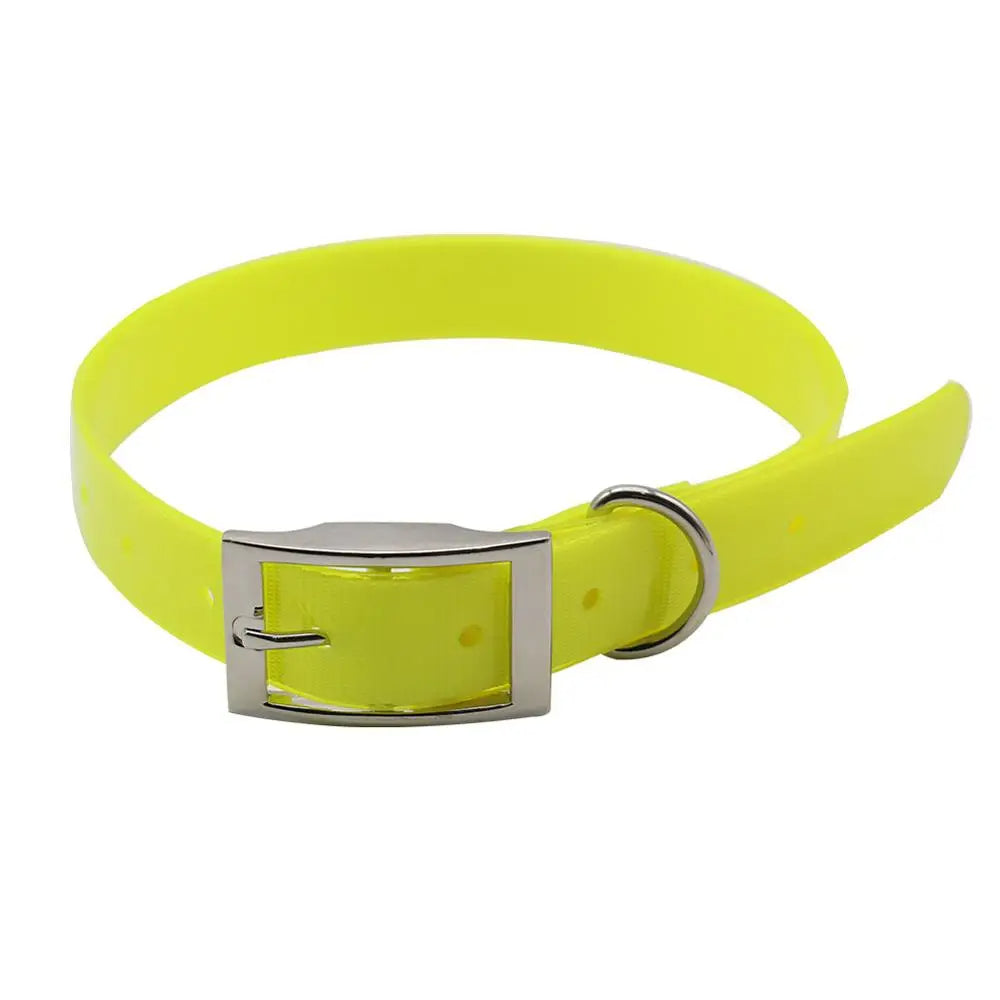 Waterproof dog collar with breakaway buckle, purple, designed for active and adventurous dogs