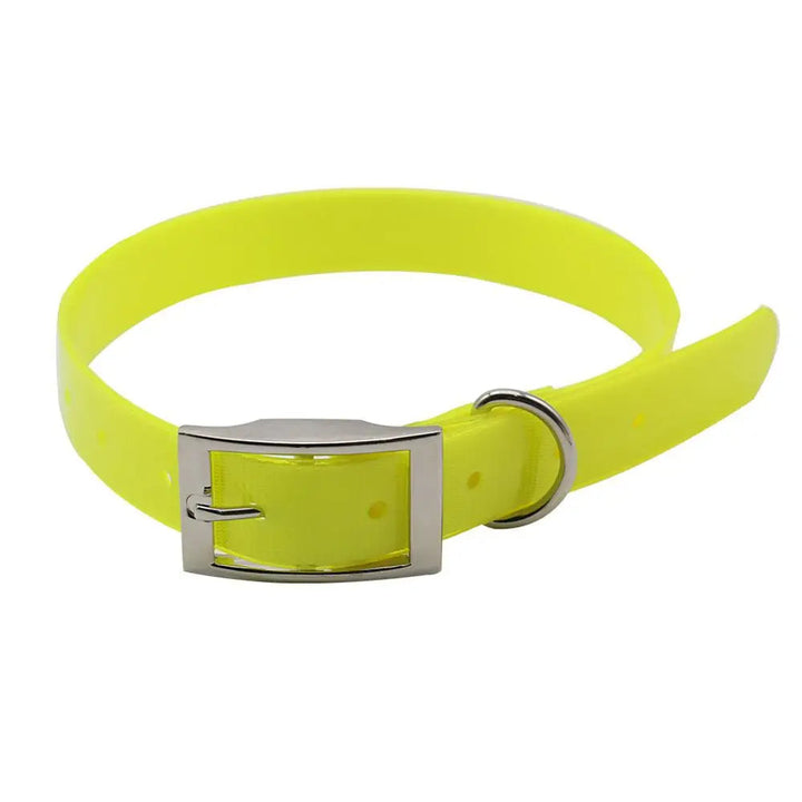 Waterproof dog collar with breakaway buckle, purple, designed for active and adventurous dogs