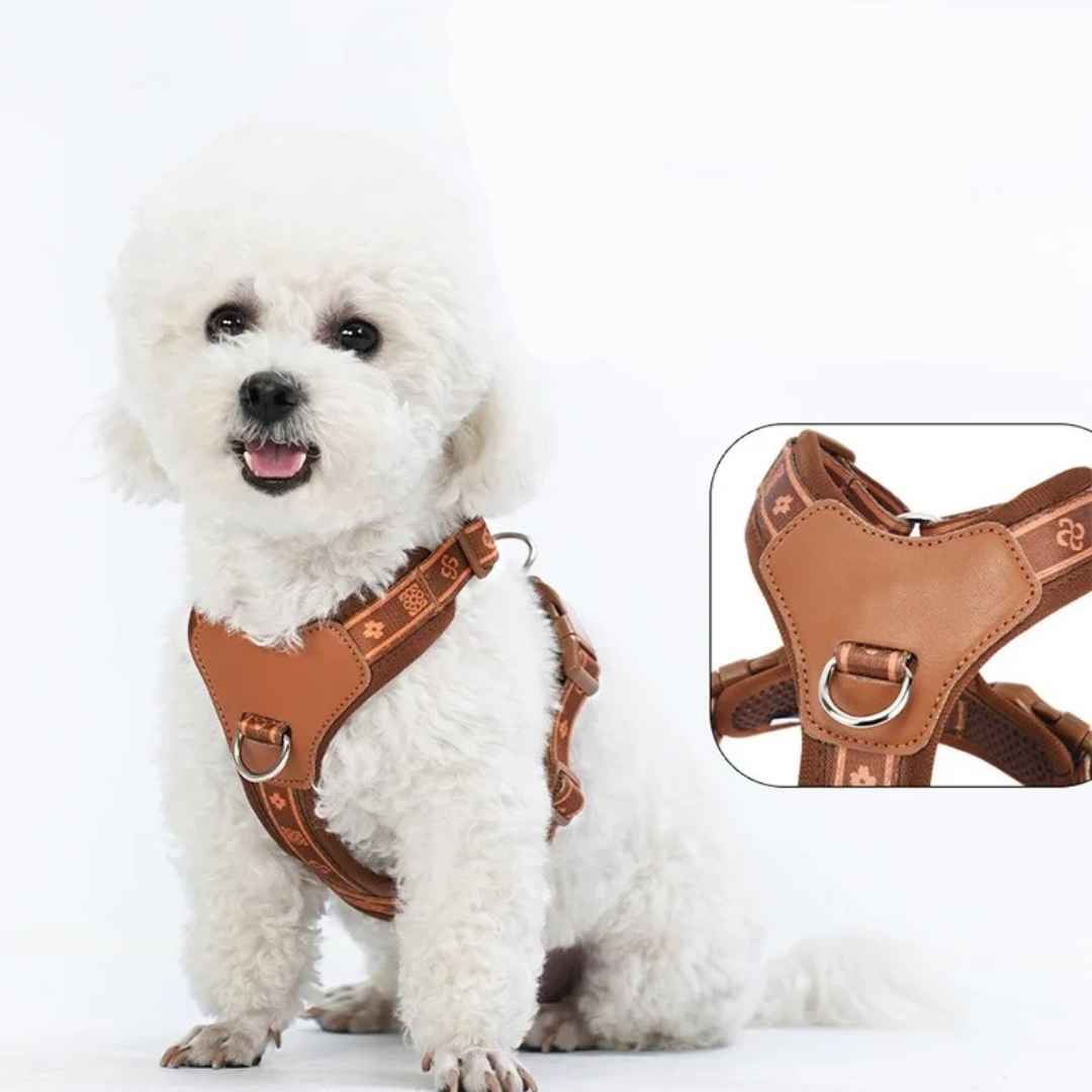 Close-up of a dog adjustable harness in red, highlighting reflective stitching and breathable mesh fabric.