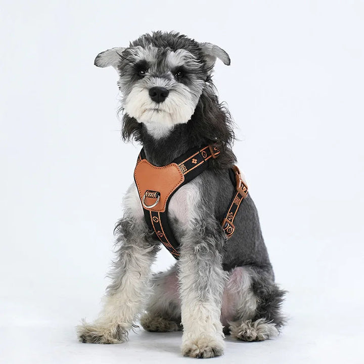 Medium dog wearing a green breathable mesh harness, featuring reflective accents for night visibility.