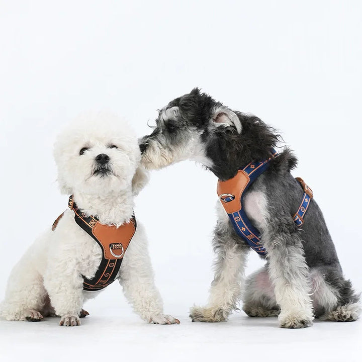 Red adjustable dog harness with quick-release buckles and reflective details, made from breathable mesh.