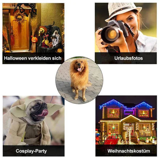 Dog with a whimsical light brown lion mane, making a hilarious and cute pet accessory.