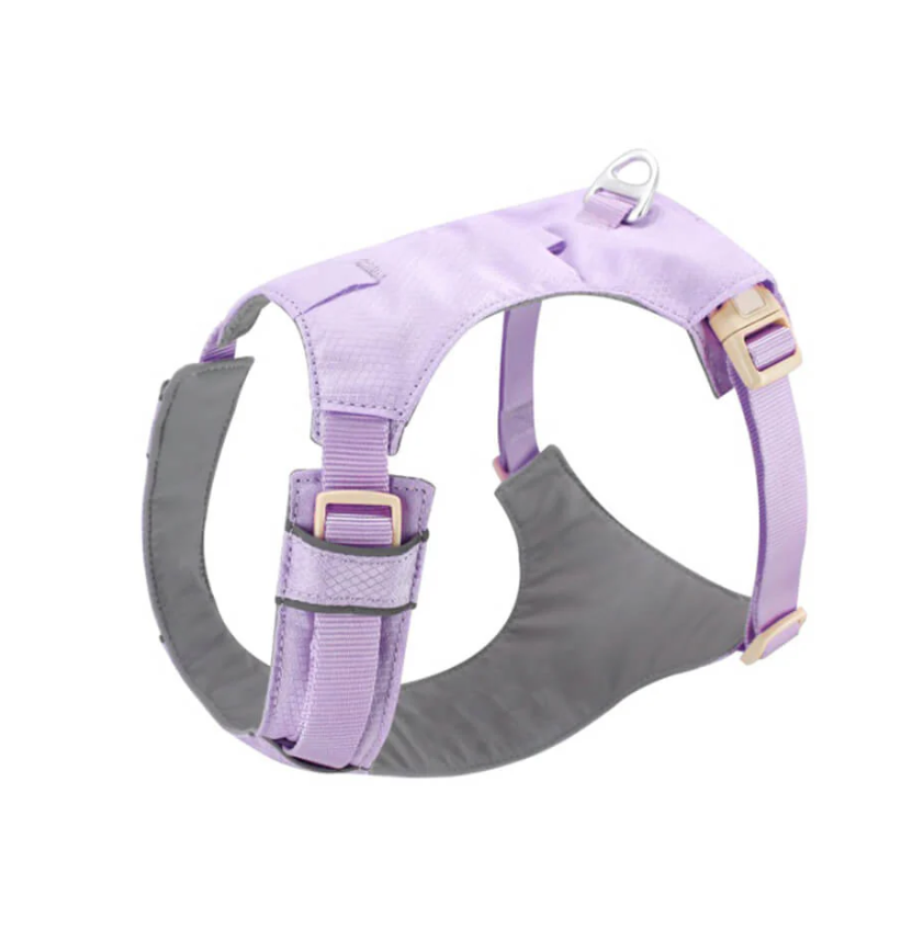 Dog wearing black no-pull comfort harness with adjustable leash, front view, outdoors.