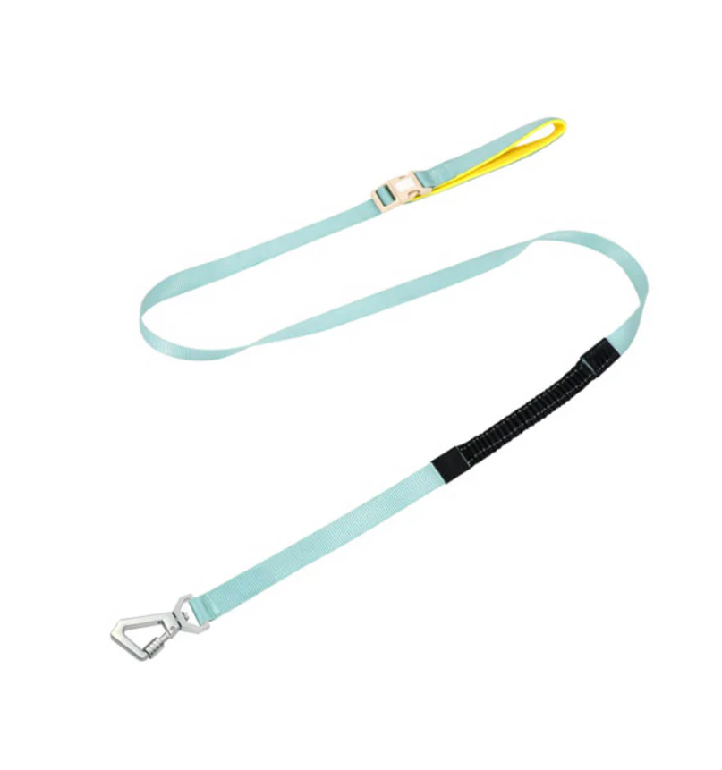 Side view of a canine wearing an ergonomic no-pull dog harness and adjustable leash.