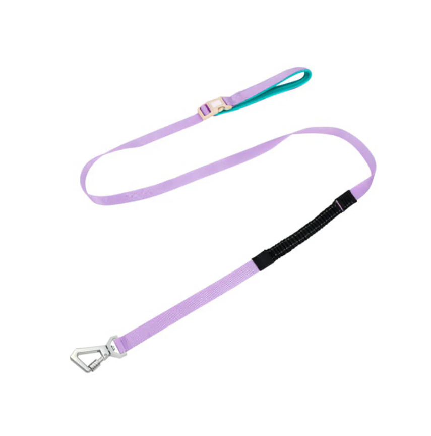 Black no-pull comfort harness for dogs with an adjustable leash and reflective stitching.