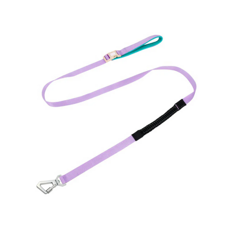 Black no-pull comfort harness for dogs with an adjustable leash and reflective stitching.