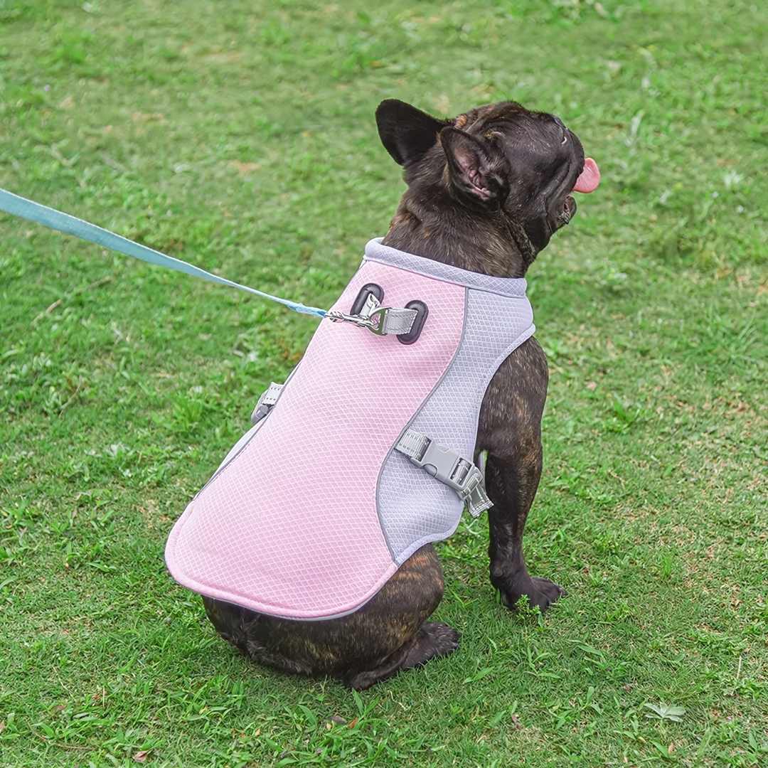 Dog cooling vest against a sunny background, showcasing its heat protection features