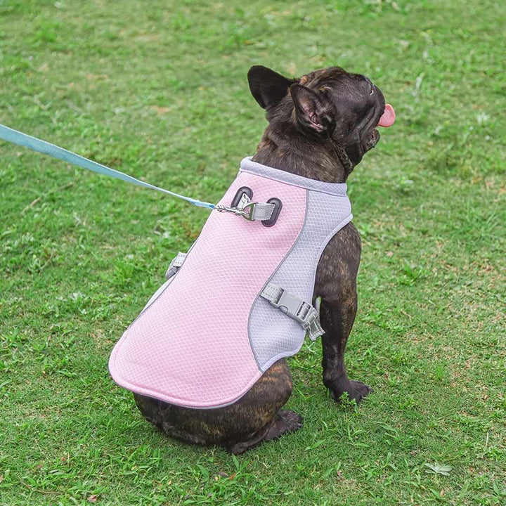 Dog cooling vest against a sunny background, showcasing its heat protection features