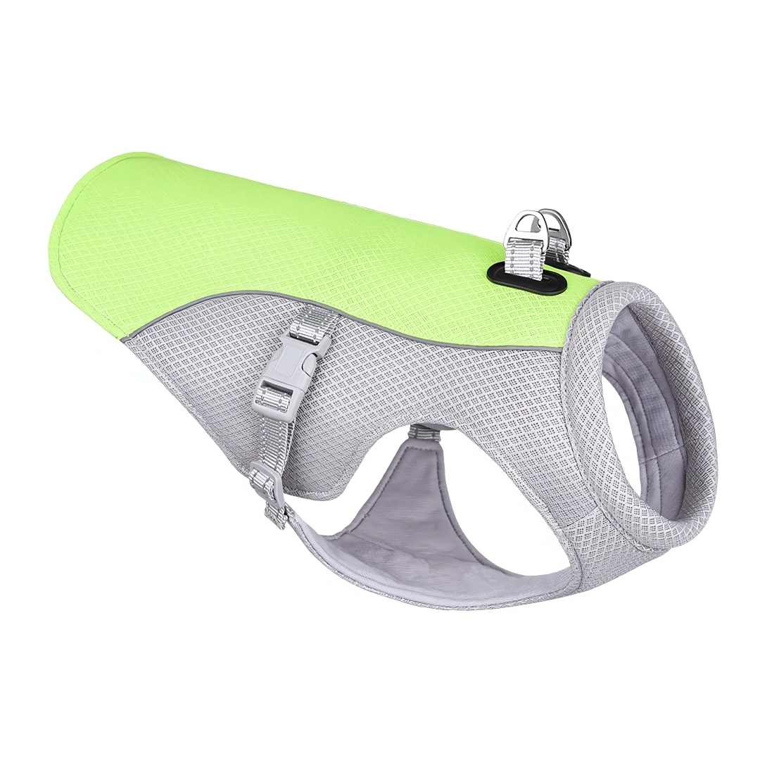 Front view of dog modeling a summer cooling vest, emphasizing comfort and safety
