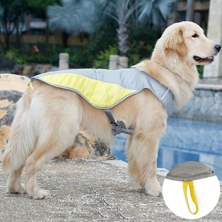 Front view of a dog cooling vest, showcasing durable and lightweight design for pet accessories.