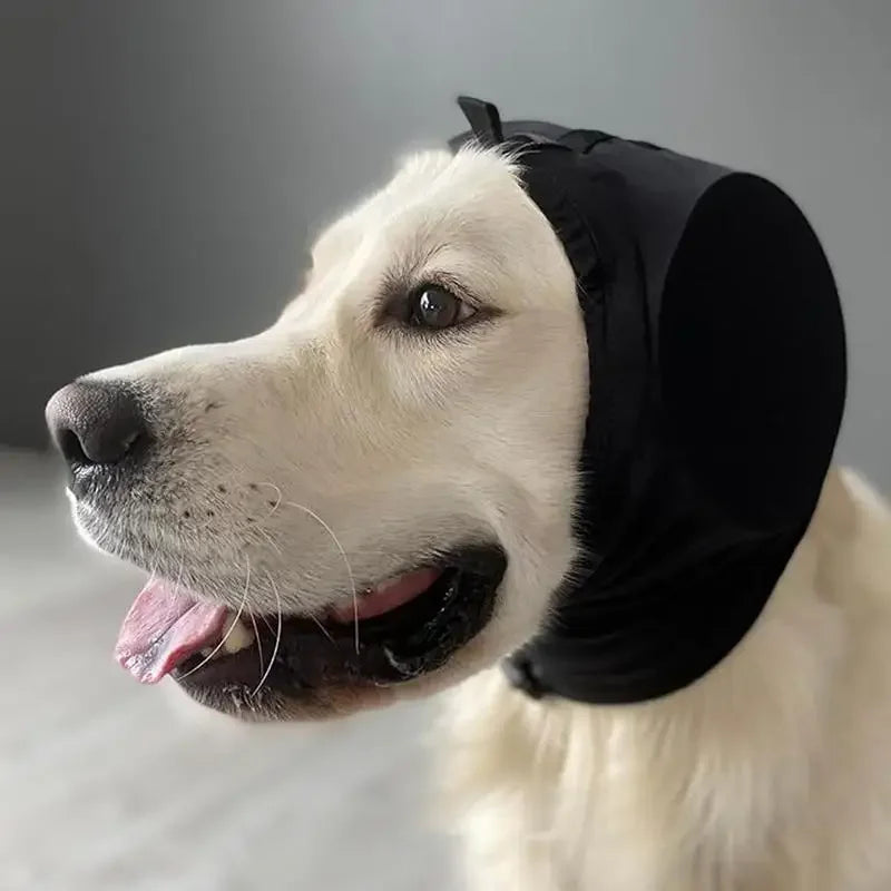 Small dog wearing pink noise-canceling earmuffs, pet hat for hearing protection and anxiety relief