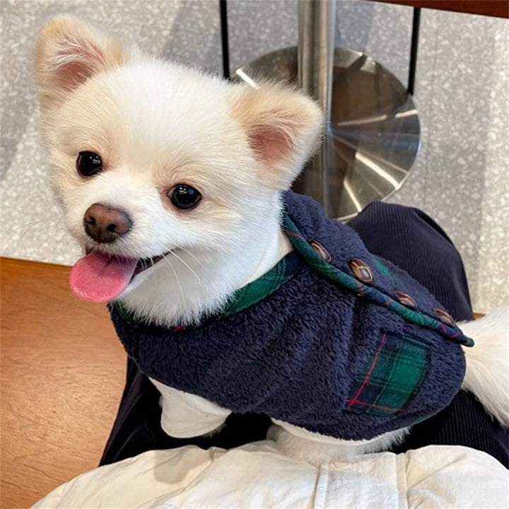 Adorable dog posing in a red and black plaid winter jacket with a matching warm scarf