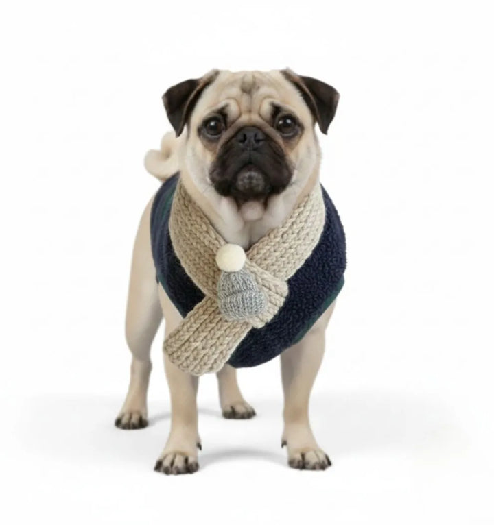 Happy dog playing outdoors in a warm red plaid winter jacket, comfortable pet clothing