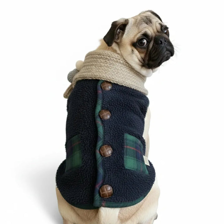 Front view of a dog in cozy plaid winter jacket and scarf, perfect for holidays