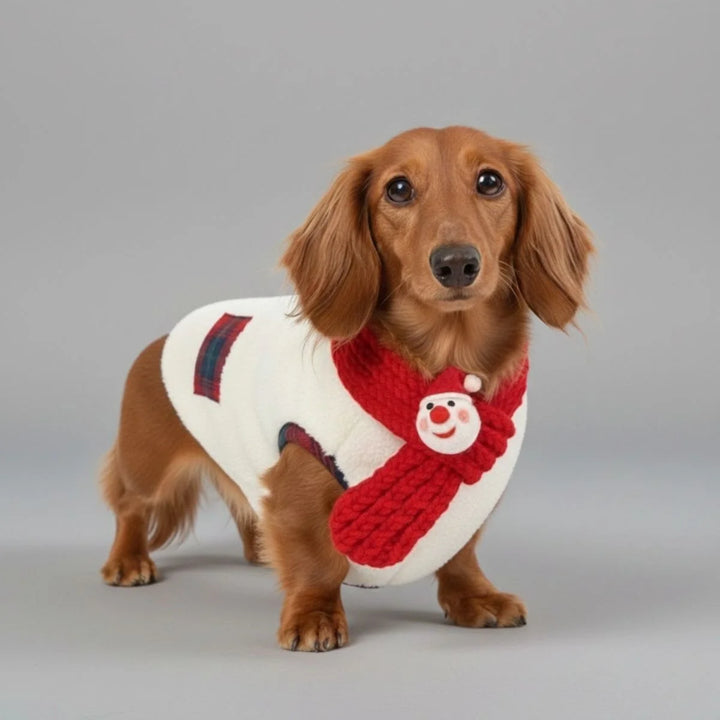 Side profile of a dog showcasing a fashionable plaid winter jacket and scarf, pet apparel