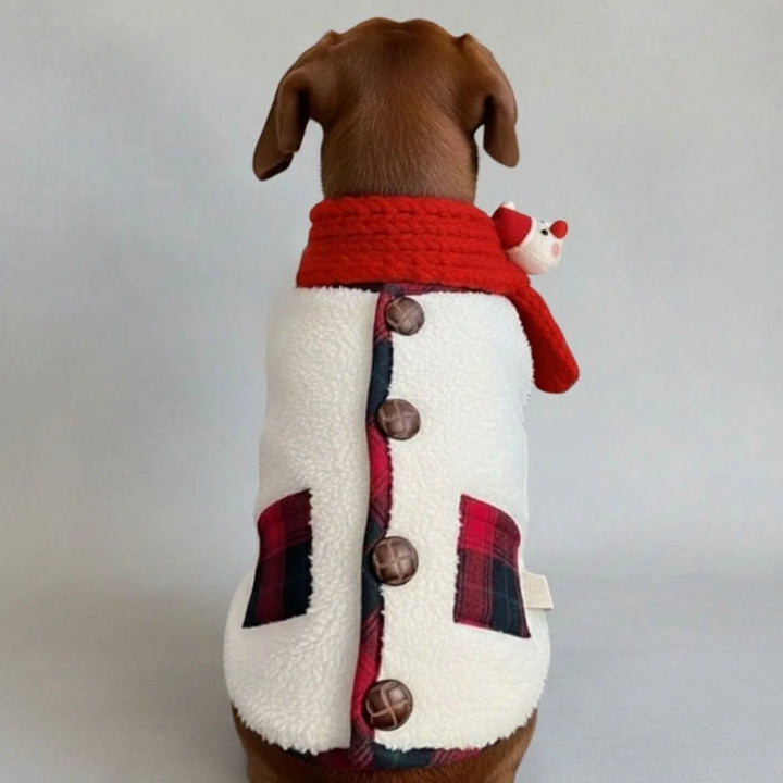 Full body shot of a dog modeling a red plaid winter jacket with festive scarf, pet fashion