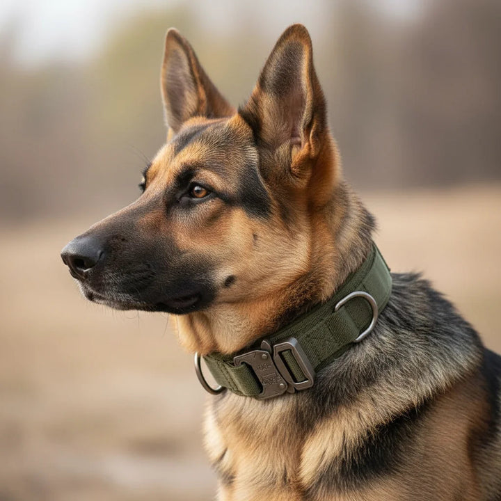 Black tactical dog collar with integrated control handle for large dogs; ideal for training
