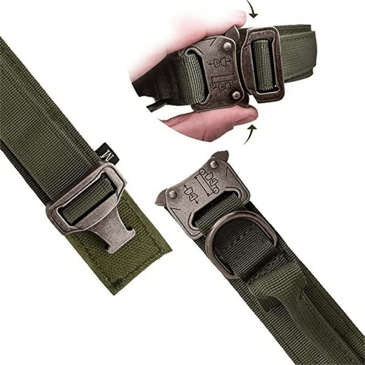 Tactical collar and matching bungee leash set, designed for pet accessories and training equipment