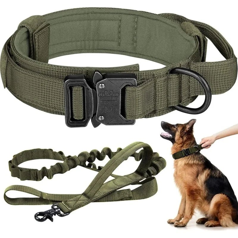 Adjustable tactical dog collar featuring robust quick-release buckle and reflective stitching