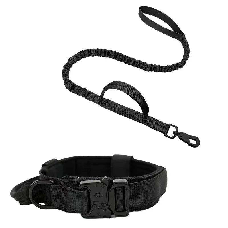 Large dog wearing choke alternative tactical collar and bungee leash set on a walk