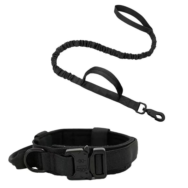 Large dog wearing choke alternative tactical collar and bungee leash set on a walk