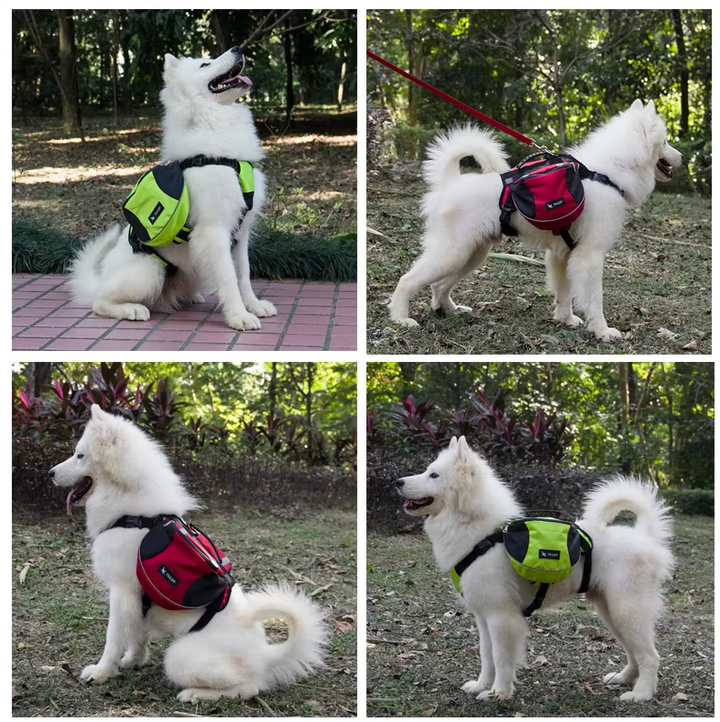 Dog wearing waterproof outdoor adventure backpack, side view, hiking on a trail, adjustable straps visible.