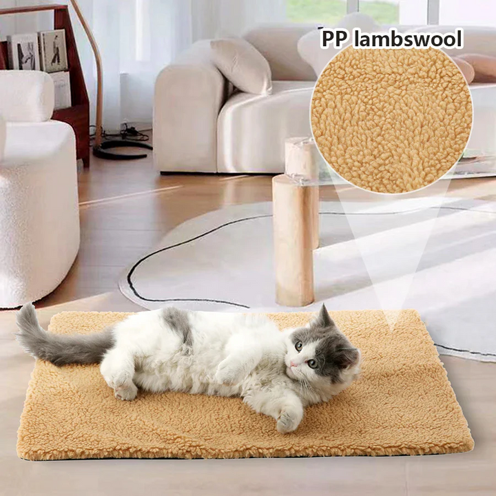 Small dog resting comfortably on a washable, non-electric self-heating pet pad, perfect for winter.