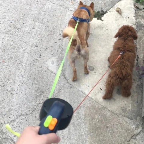 Tangle-free pet walking dual dog leash with LED light for safety during night walks