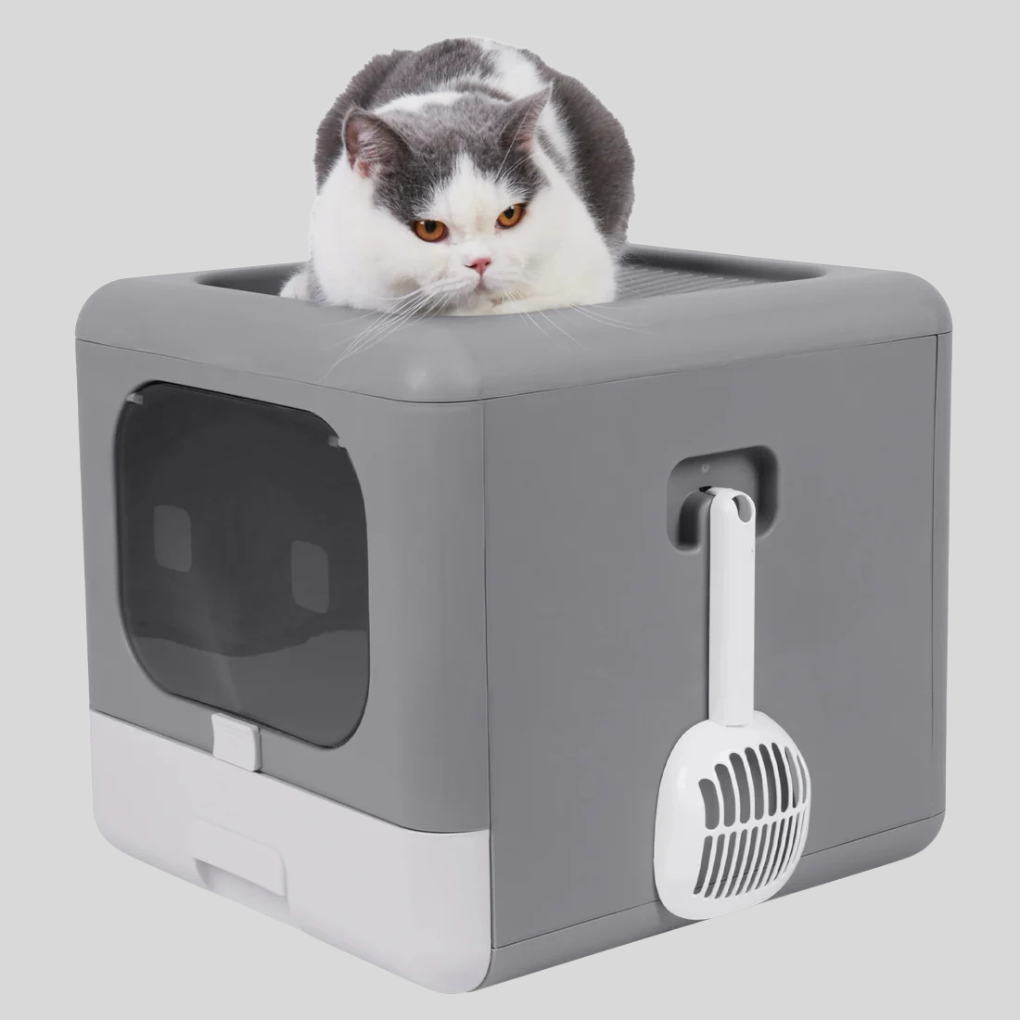 Modern grey dual-entry enclosed cat litter box, perfect for pet owners seeking easy-clean litter management