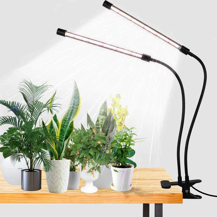Dual gooseneck LED plant grow light with timer for indoor plants & seedlings.