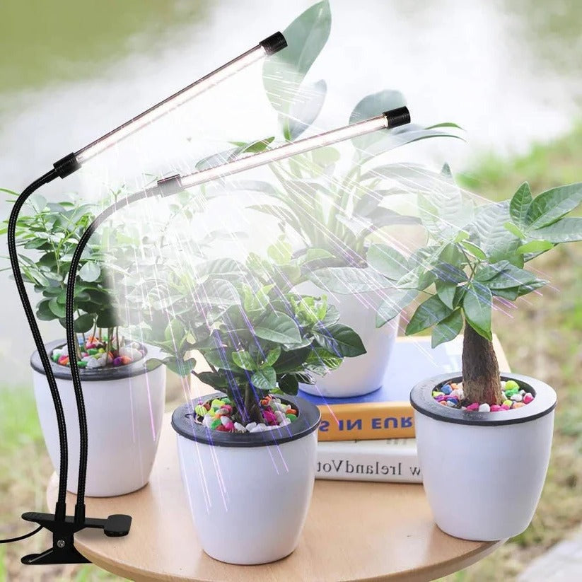 Full spectrum LED grow light for healthy indoor plant growth, clip-on design with timer.