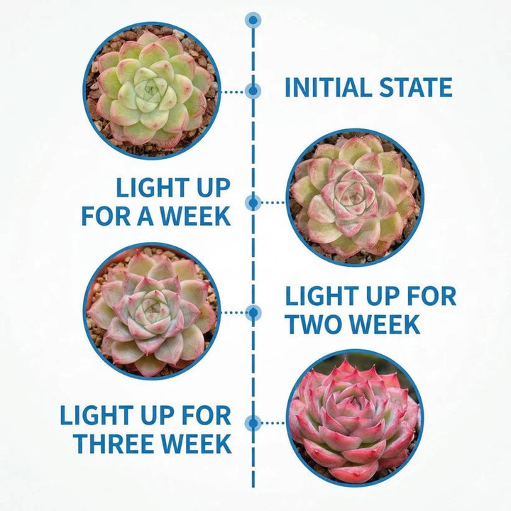 Full spectrum LED plant grow light with dual gooseneck, timer & clip-on base for indoor plants.