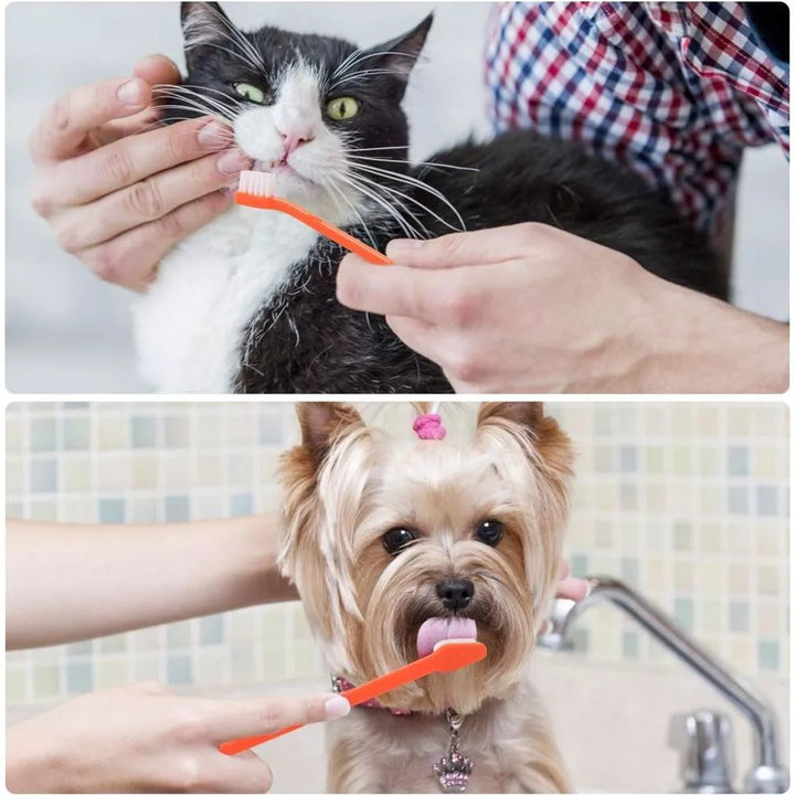 Dual-head dog & cat toothbrushes multi-pack for effective pet dental hygiene and oral care