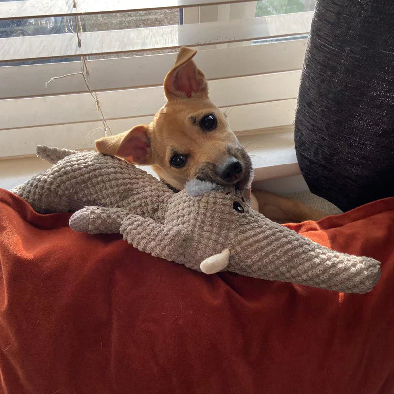 Pet dental care chew toy, durable animal shape for powerful dog chewers.