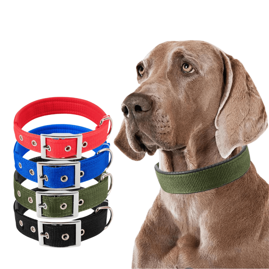 Blue rugged nylon dog collar, unisex design, provides secure fit for all dog breeds; pet supplies.