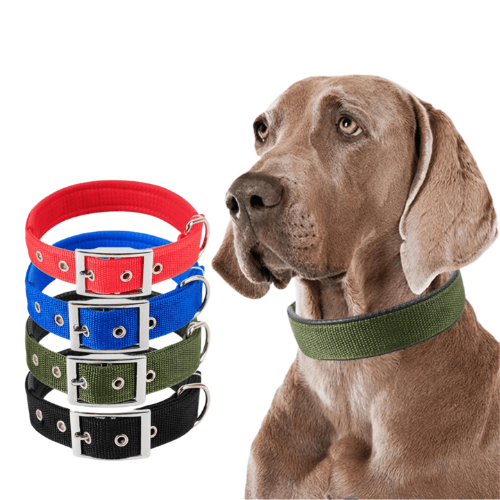 Blue rugged nylon dog collar, unisex design, provides secure fit for all dog breeds; pet supplies.