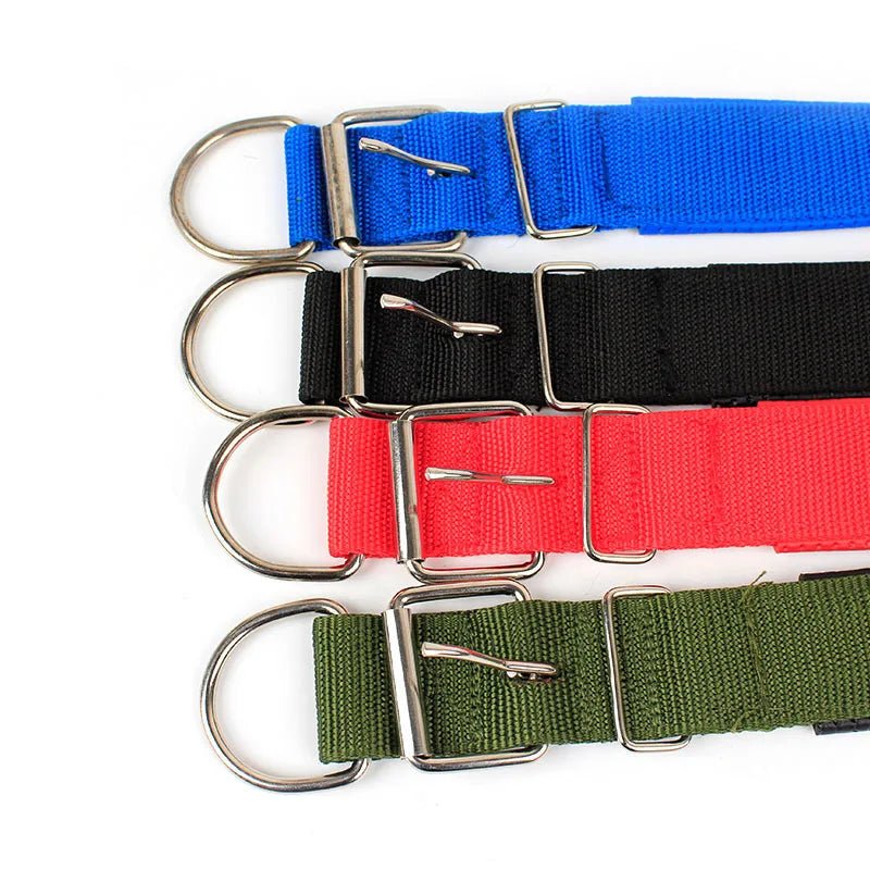 Stylish purple nylon dog collar, robust and adjustable, ideal for pet owners seeking secure dog gear.